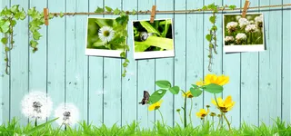 春天简约浪漫文艺照片墙海报背景高清