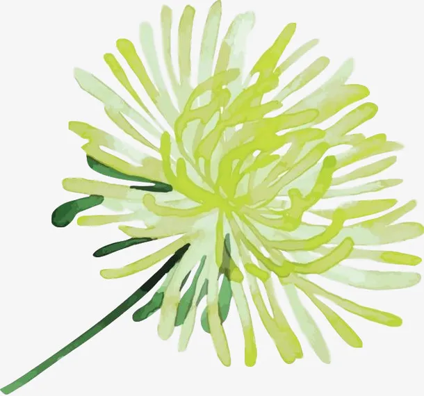 国潮绿色菊花中国风元素免抠