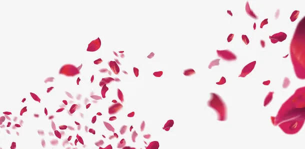 情人节玫瑰花瓣素材免抠