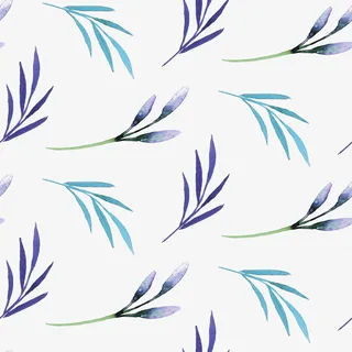 手绘的植物免抠