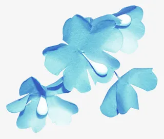 蓝花免抠素材免抠