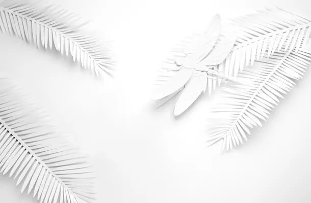 白色叶子蜻蜓植物昆虫免抠