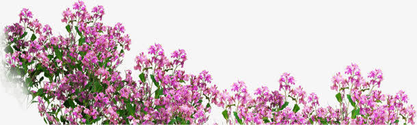 蓝色小花png素材免抠