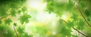 春季自然风景banner高清