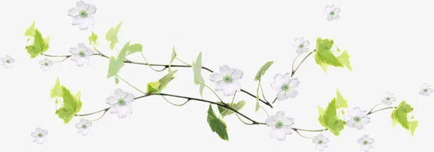 藤蔓鲜花免抠