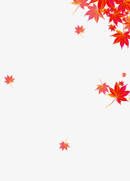 枫叶装饰免抠