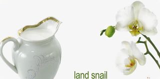 加涅大方厨卫装饰素材免抠