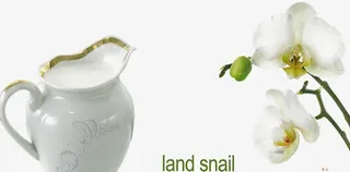 加涅大方厨卫装饰素材免抠