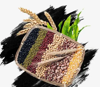 五谷杂粮养生免抠