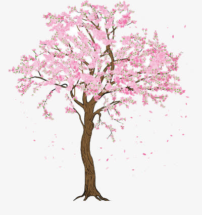 一颗卡通樱花树免抠