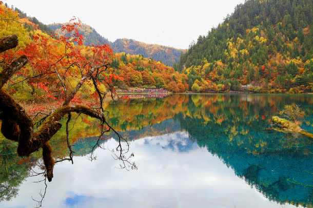 秋游九寨沟免抠