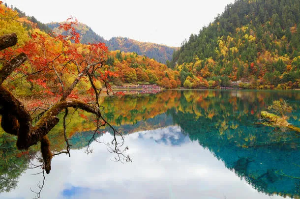 秋游九寨沟免抠