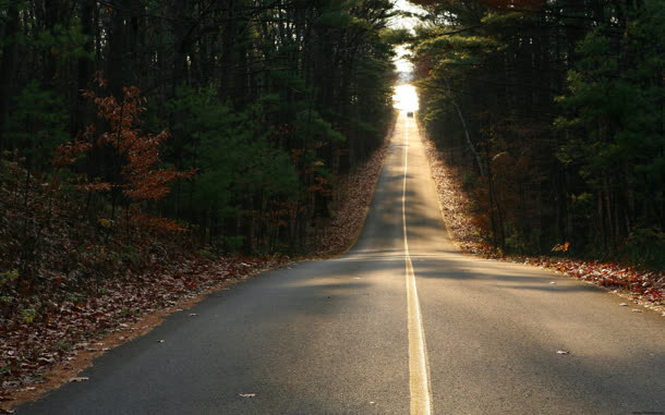 茂密森林下的公路免抠