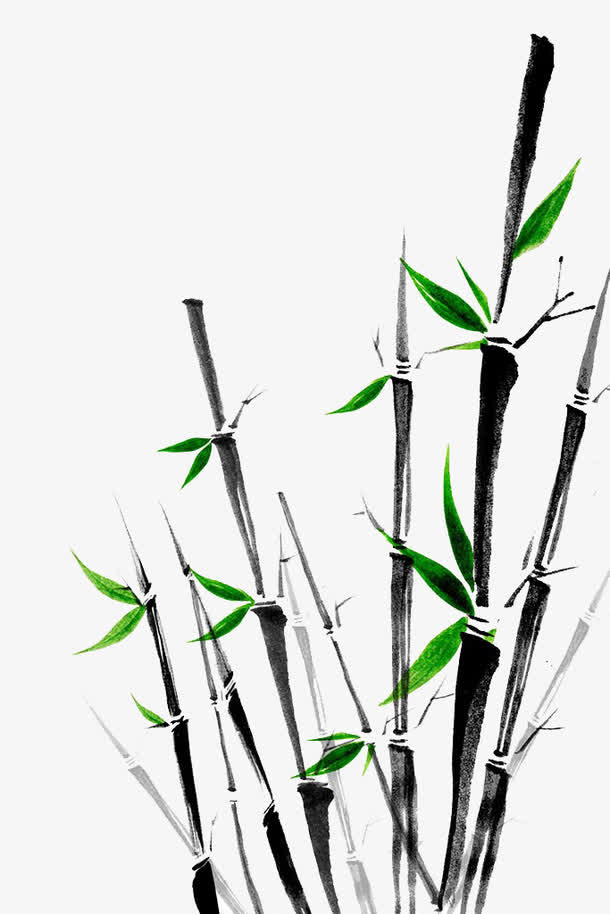竹子手绘免抠动植物植物元素