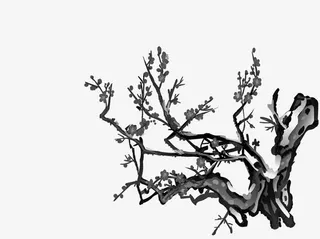 水墨梅花素材吧免抠