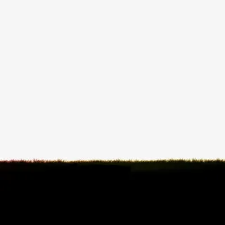 夜晚的草坪免抠