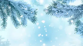 寒冬冬天雪景背景