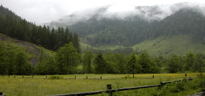 淘宝背景图高清