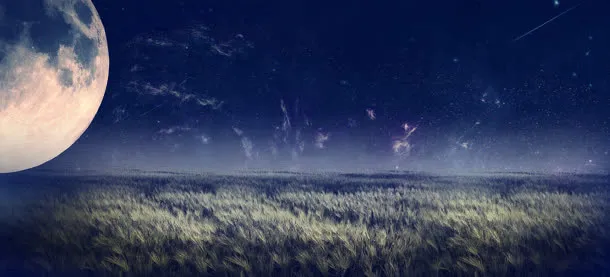 浪漫情人节美丽星空花朵背景banner