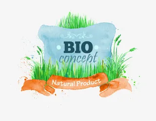 草丛标题栏免抠