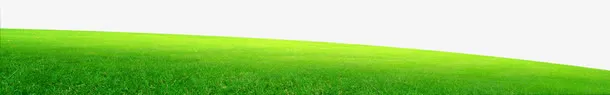 绿色草地公园装饰免抠