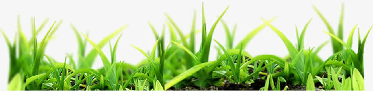 春天绿色草地风景免抠