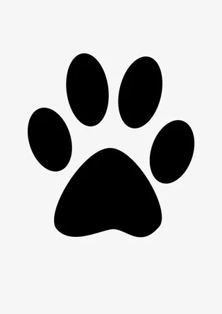 猫爪子脚心脚印免抠