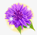 紫色花免抠