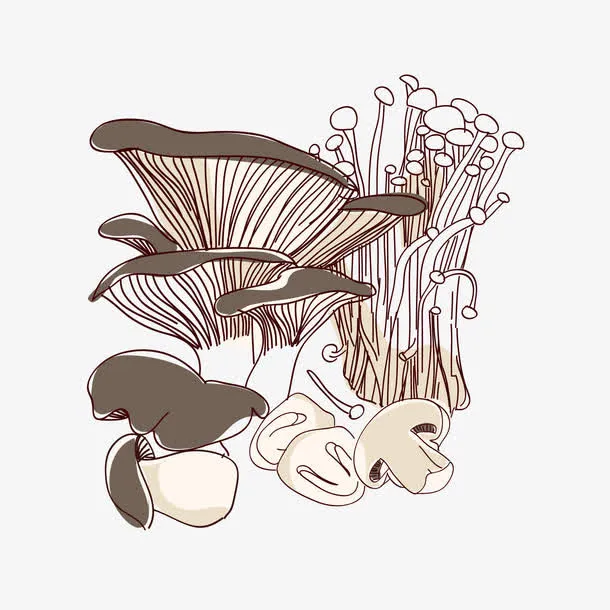 手绘蘑菇免抠