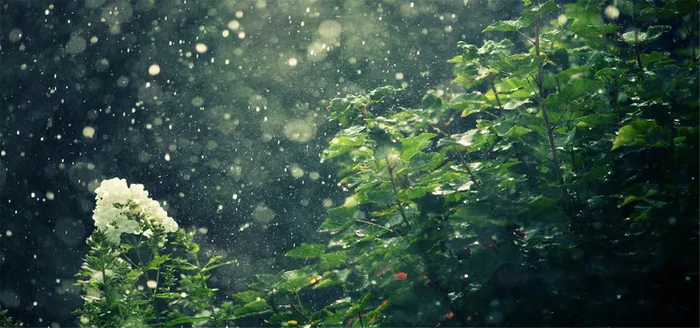 淘宝背景图高清