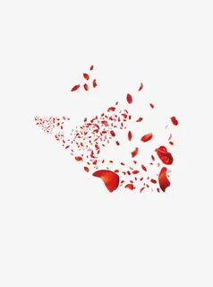 飘舞的玫瑰花瓣免抠