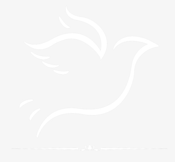 小鸟免抠
