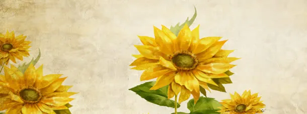 向日葵花朵海报免抠