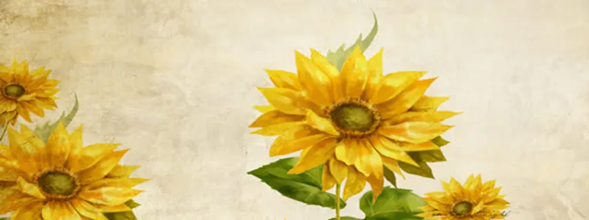 向日葵花朵海报免抠