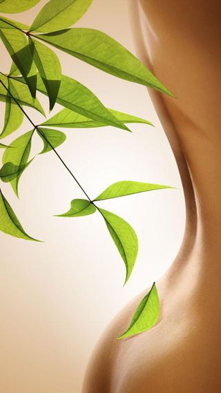 绿叶树叶皮肤H5背景高清