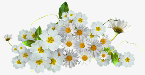 一簇鲜花免抠
