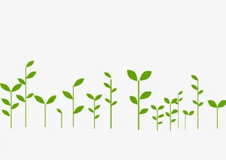 小草绿色装饰墙纸免抠