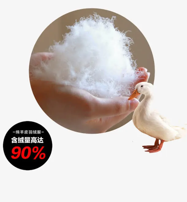 矢量鸭绒免抠