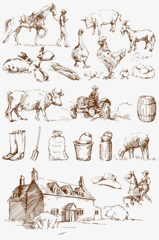 手绘线条牧场动物们免抠