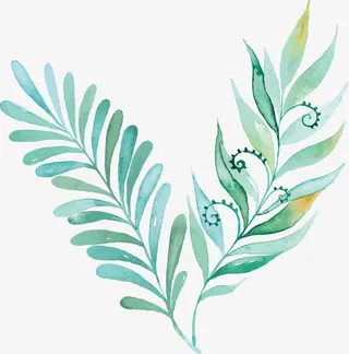手绘小清新水彩植物叶子矢量素材免抠