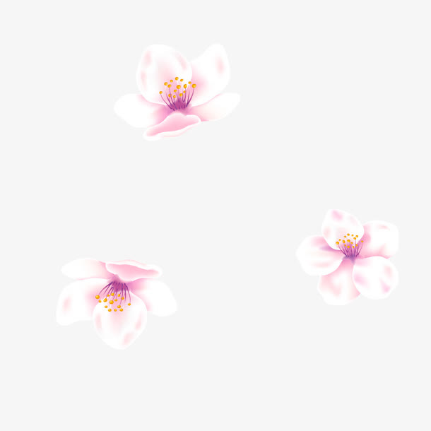 粉色的小花免抠