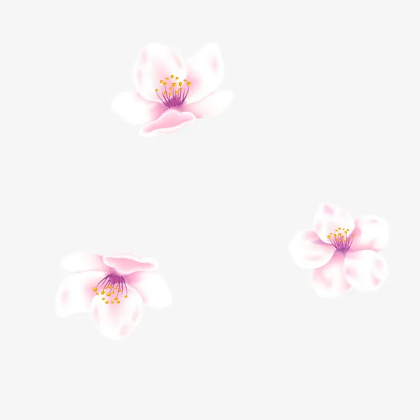 粉色的小花免抠