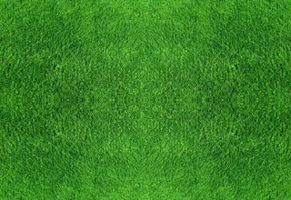 绿色草地海报背景七夕情人节