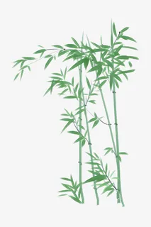 竹子，装饰，卡通，古风免抠