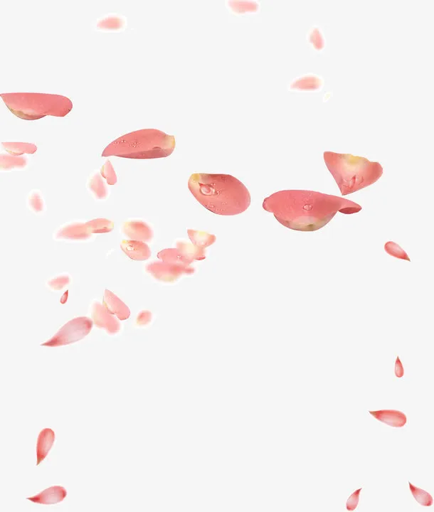 漂浮玫瑰花瓣免抠
