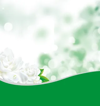 女性S型背景素材海报高清