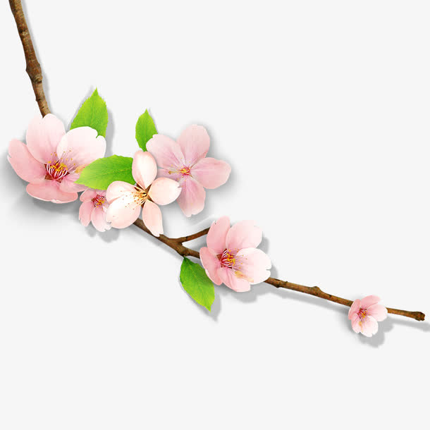 桃花免抠