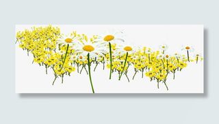 黄色春天美景花朵手绘免抠