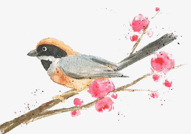 手绘春天小鸟插画素材免抠