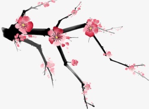 新年元素之水彩梅花免抠